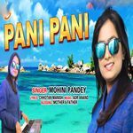 Pani Pani artwork