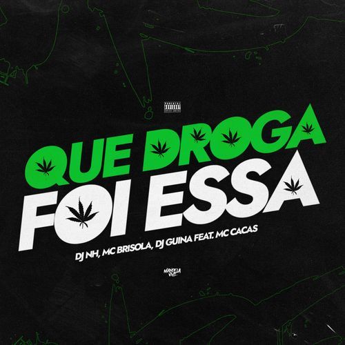 Que Droga Foi Essa (feat. MC Cacas)