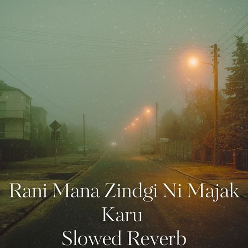 Rani Mana Zindgi Ni Majak Karu (Slow Reveb)