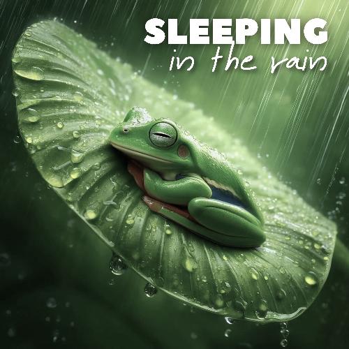 Sleeping in the Rain: Nightly Serenity for Insomnia_poster_image