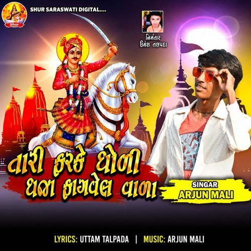 Tari Farke Dholi Dhaja Fagvel Vala