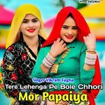 Tere Lehenga Pe Bole Chhori Mor Papaiya