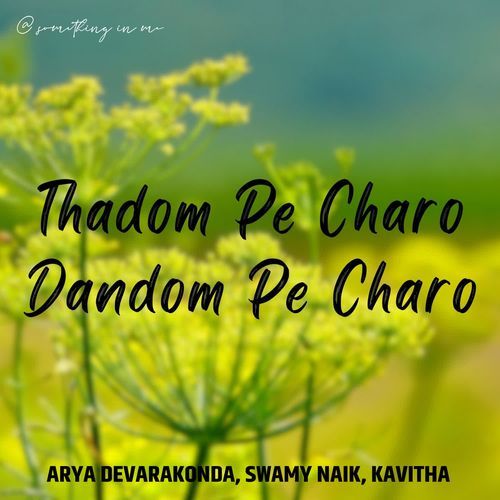 Thadom Pe Charo Dandom Pe Charo