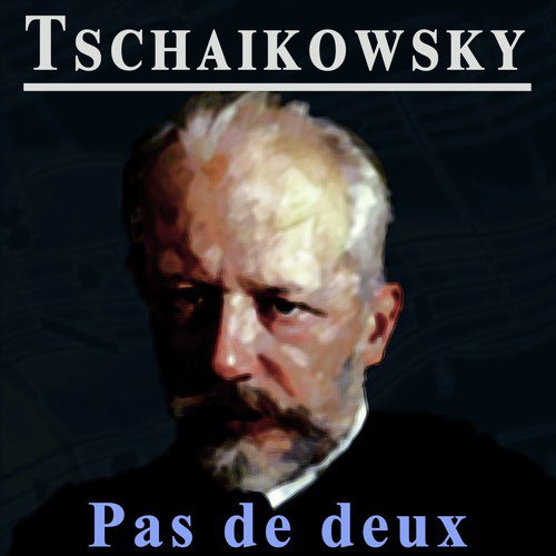 The Classic Orchestra: Pjotr Iljitsch Tschaikowski