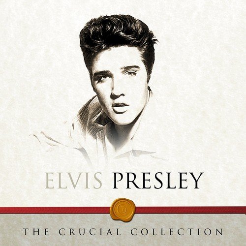 Don't Ask Me Why Lyrics - Elvis Presley - Only on JioSaavn