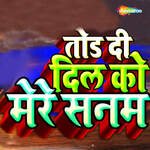 Tor Di Dil Ko Mere Sanam