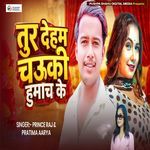 Tur Deham Chauki Humach Ke