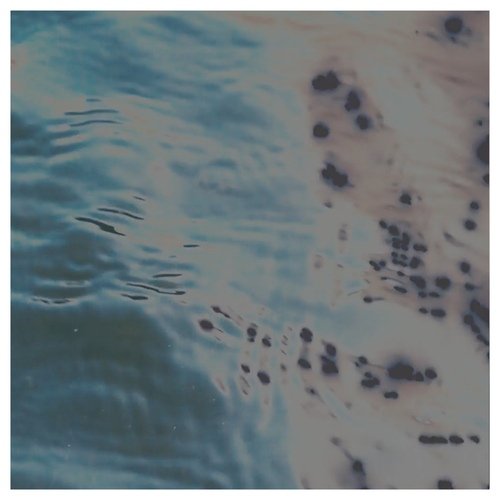 Carcassonne (Live '21)