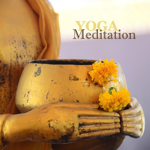 Musica De Yoga - Song Download from Curso de Meditação: Musica de Fundo  Relaxante @ JioSaavn