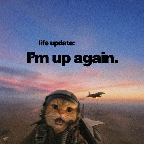 DONT STOP! cover art