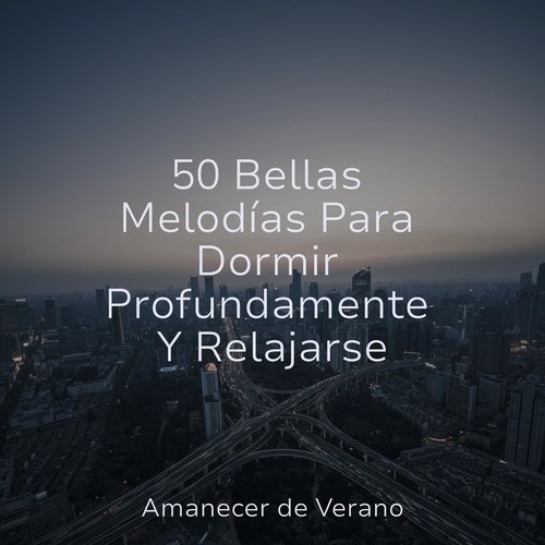 50 Bellas Melodías Para Dormir Profundamente Y Relajarse