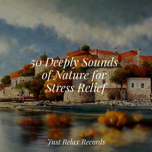 50 Deeply Sounds of Nature for Stress Relief