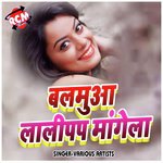 A Raja Chhor Ke Aai