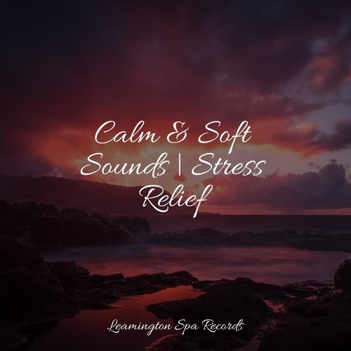 Lazy Morning cover art