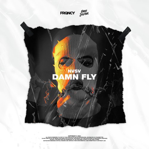 Damn Fly_poster_image