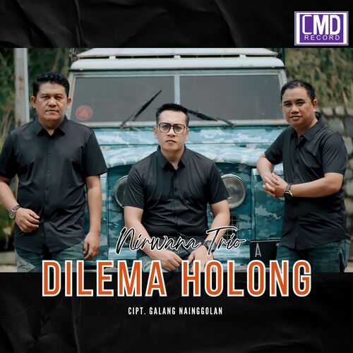 Dilema Holong cover art