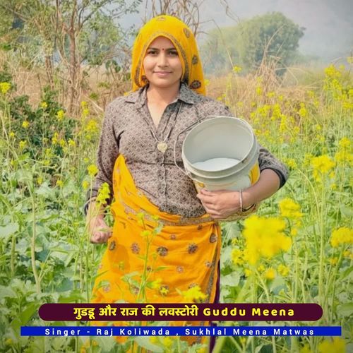 गुडडू और राज की लवस्टोरी Guddu Meena