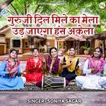 Guruji Dil Mile Ka Mela Ud Jayega Hans Akela