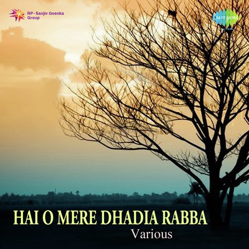 Hai O Mere Dhadia Rabba Various