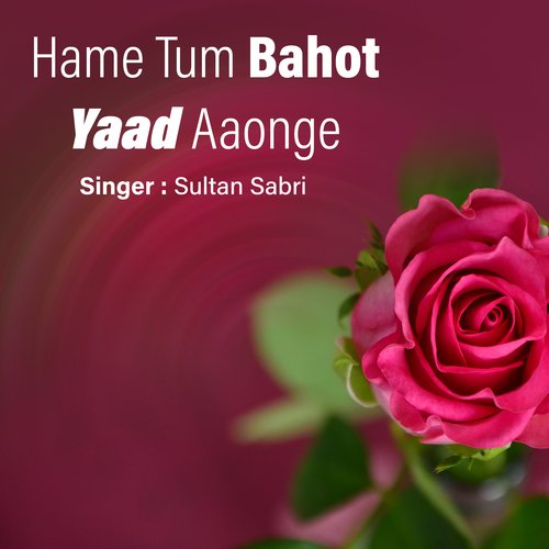 Hame Tum Bahot Yaad Aaonge