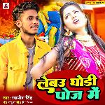 Lebau Ghodhi Pose Me