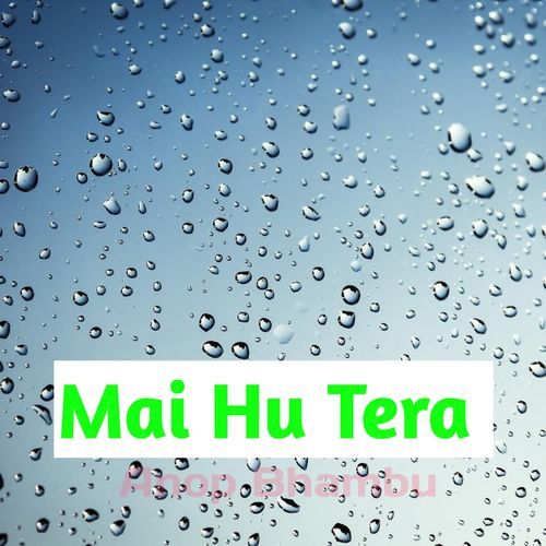 Mai Hu Tera