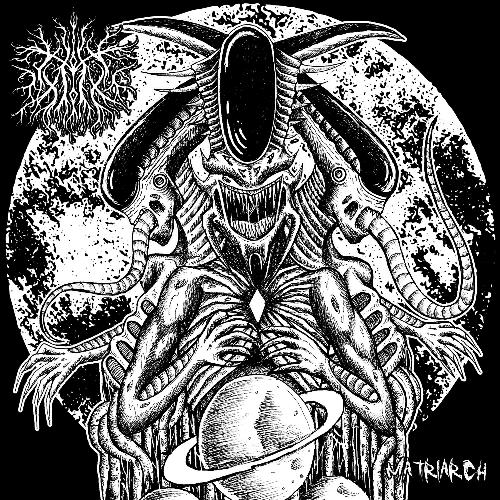 Unknown Structures of Skin and Bone cover art
