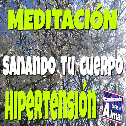 Meditación. Sanando Tu Cuerpo. Hipertensión. cover art