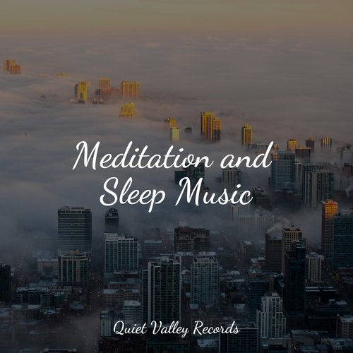 Meditation and Sleep Music For Dogs