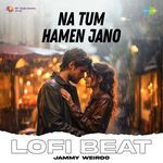 Na Tum Hamen Jano Lofi Beat