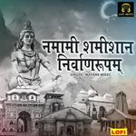 Namami Shamishan Nirwanrupam LOFI