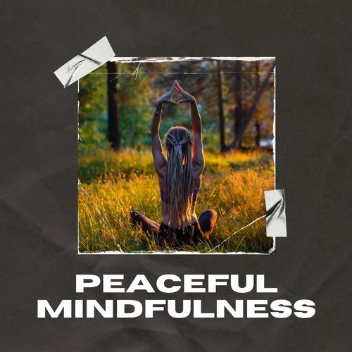 Peaceful Mindfulness: Tranquil Melodies for Meditation and Relaxation_poster_image