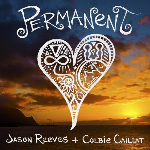 Permanent (feat. Colbie Caillat)_poster_image