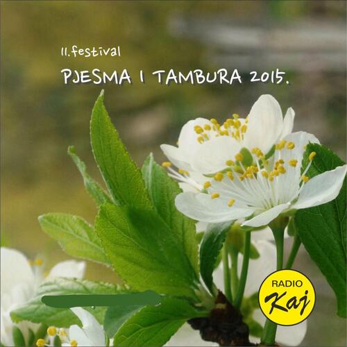 Pjesma i tambura 2015.