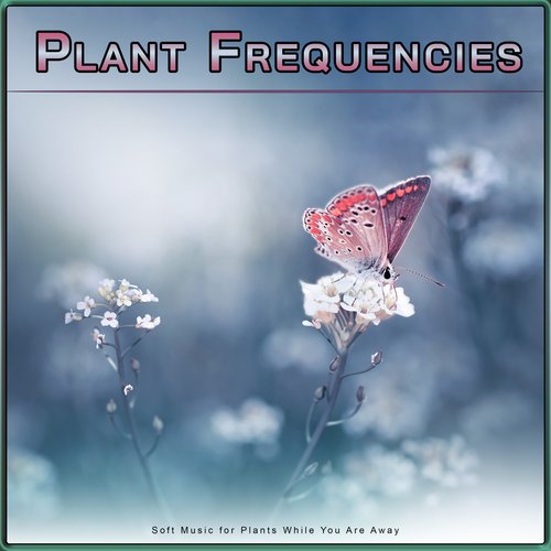 Plant Frequencies cover art