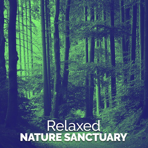 Riverside Peace cover art