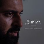 Shivaya