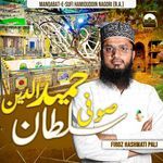 Sufi Sultan Hamiduddin