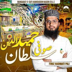 Sufi Sultan Hamiduddin