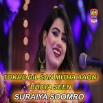 Tokhe Dil San Mitha Aaon Bhaya Seen