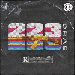 .223-RDkidUdBDl0