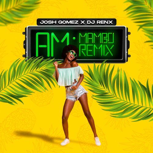 AM (Remix) (DJ Mix)