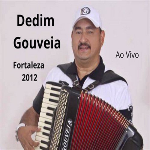 Me tira dessa solidão - DEDIM GOUVEIA cover art