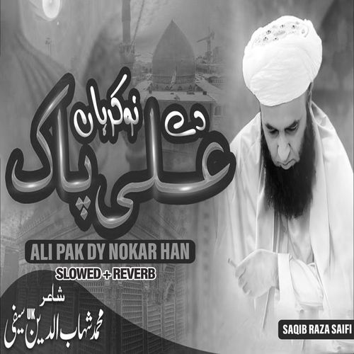 Ali Pak Dy Nokar Han (Lofi-Mix)