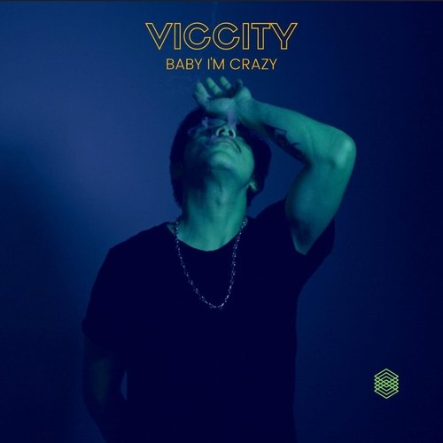 Baby I'm Crazy Lyrics - Viccity - Only on JioSaavn