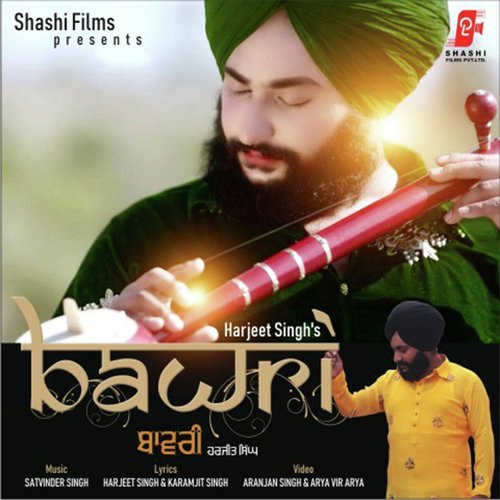 Bawri (Instrumental)_poster_image