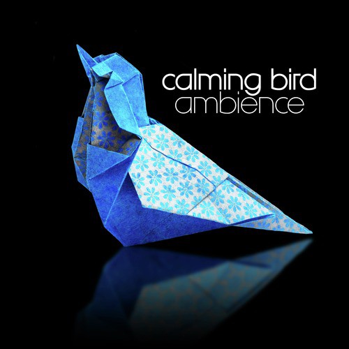 Calming Bird Ambience