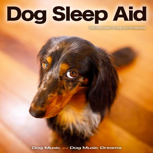 Dog Music cover art