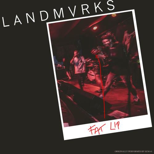 Landmvrks