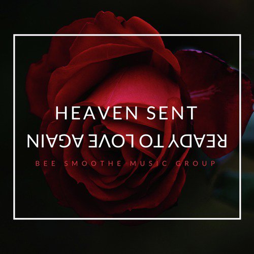 Heaven Sent_poster_image